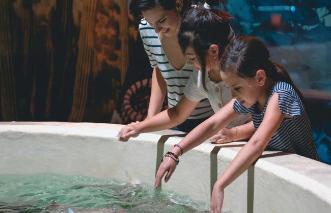 Houston City Tour & Aquarium - Photo 5